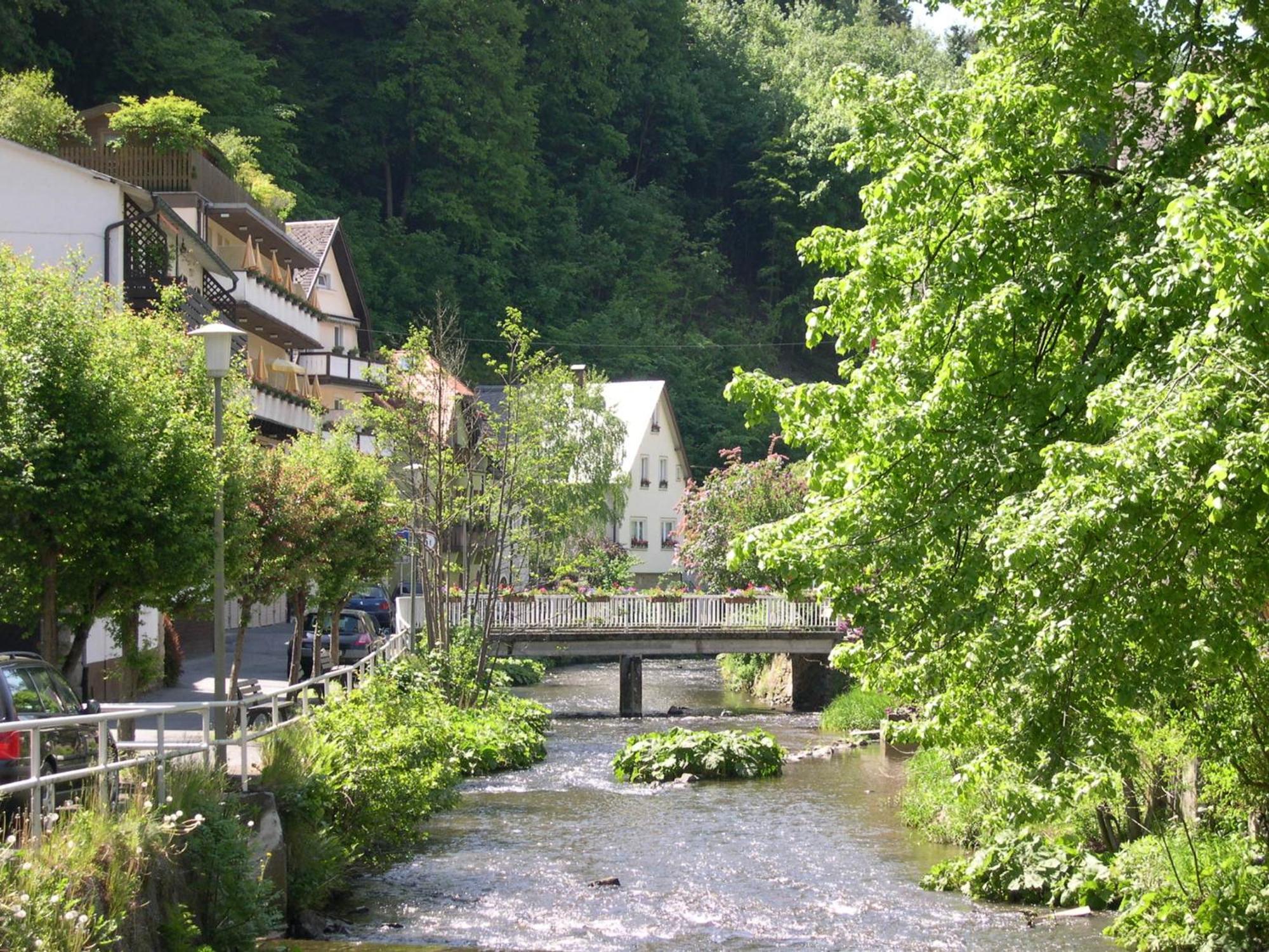 Hotel Heissinger Bad Berneck im Fichtelgebirge Exteriör bild